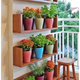 Illustration for article titled 20+ Incredible Ideas on How to Decorate a Tiny Balcony